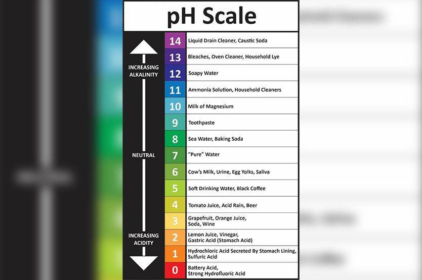 The Meaning of pH Level